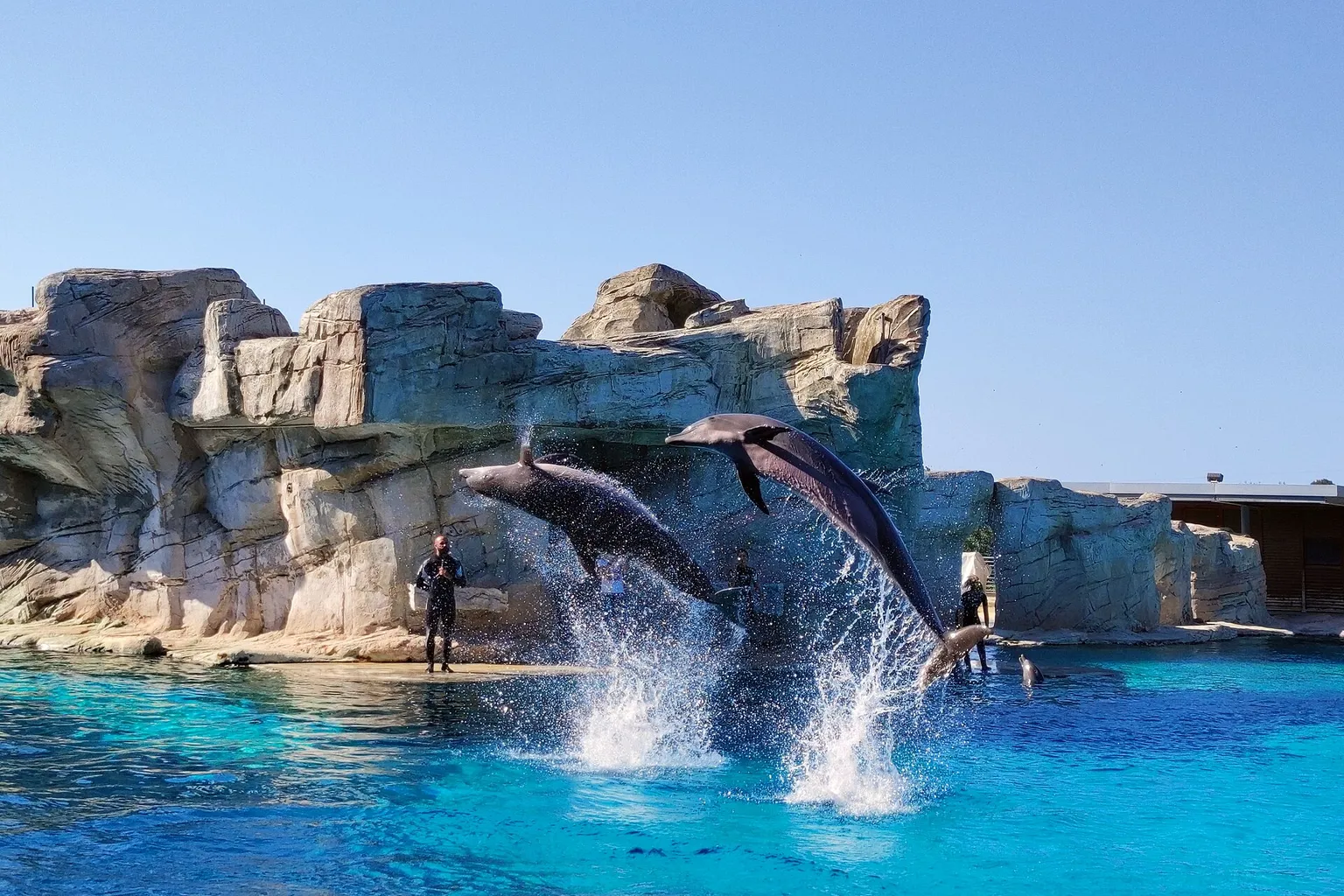 Aquafan Riccione : 4 astuces pour réserver vos billets sereinement