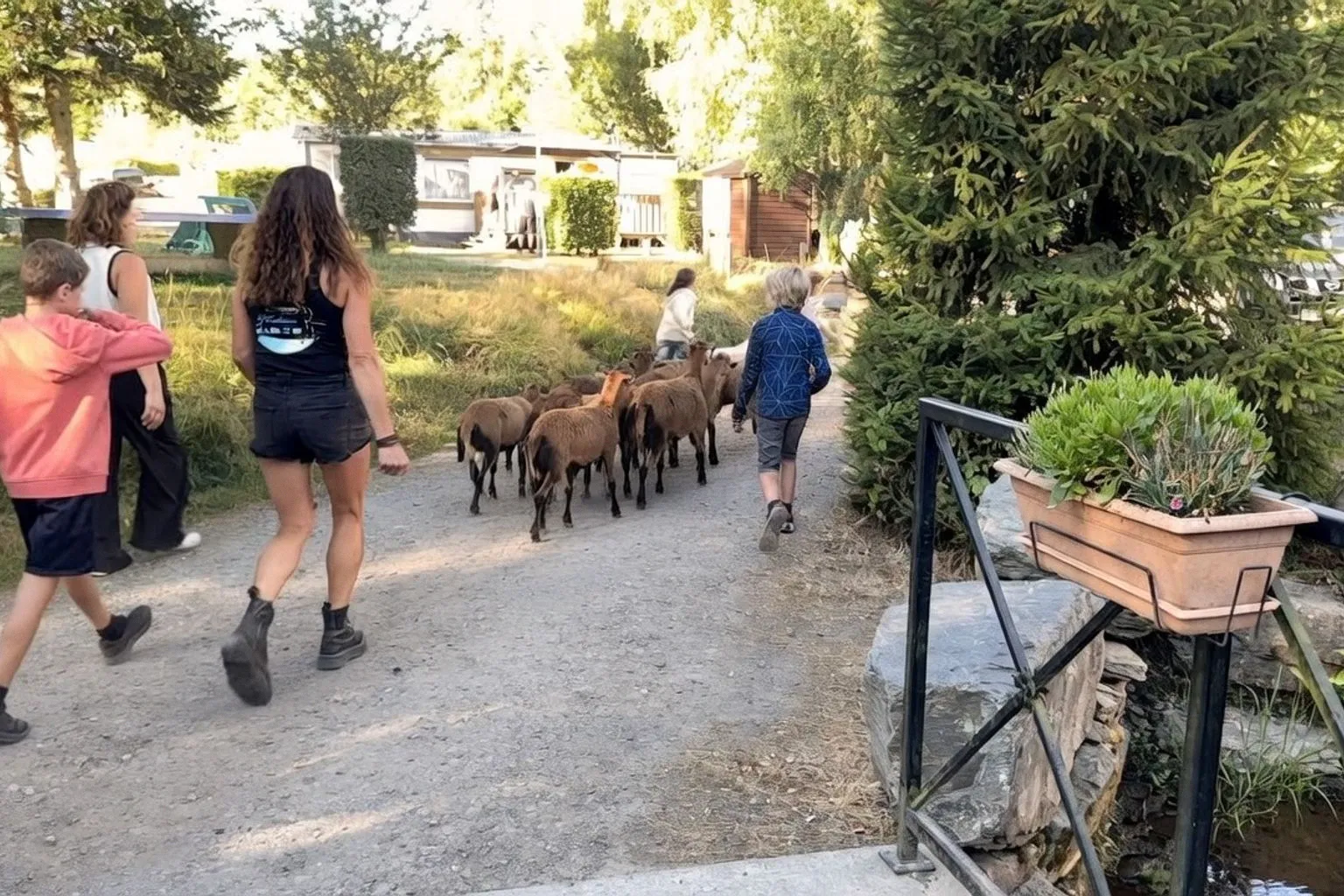 Camping des Trois Fontaines à Maissin : une immersion en pleine nature