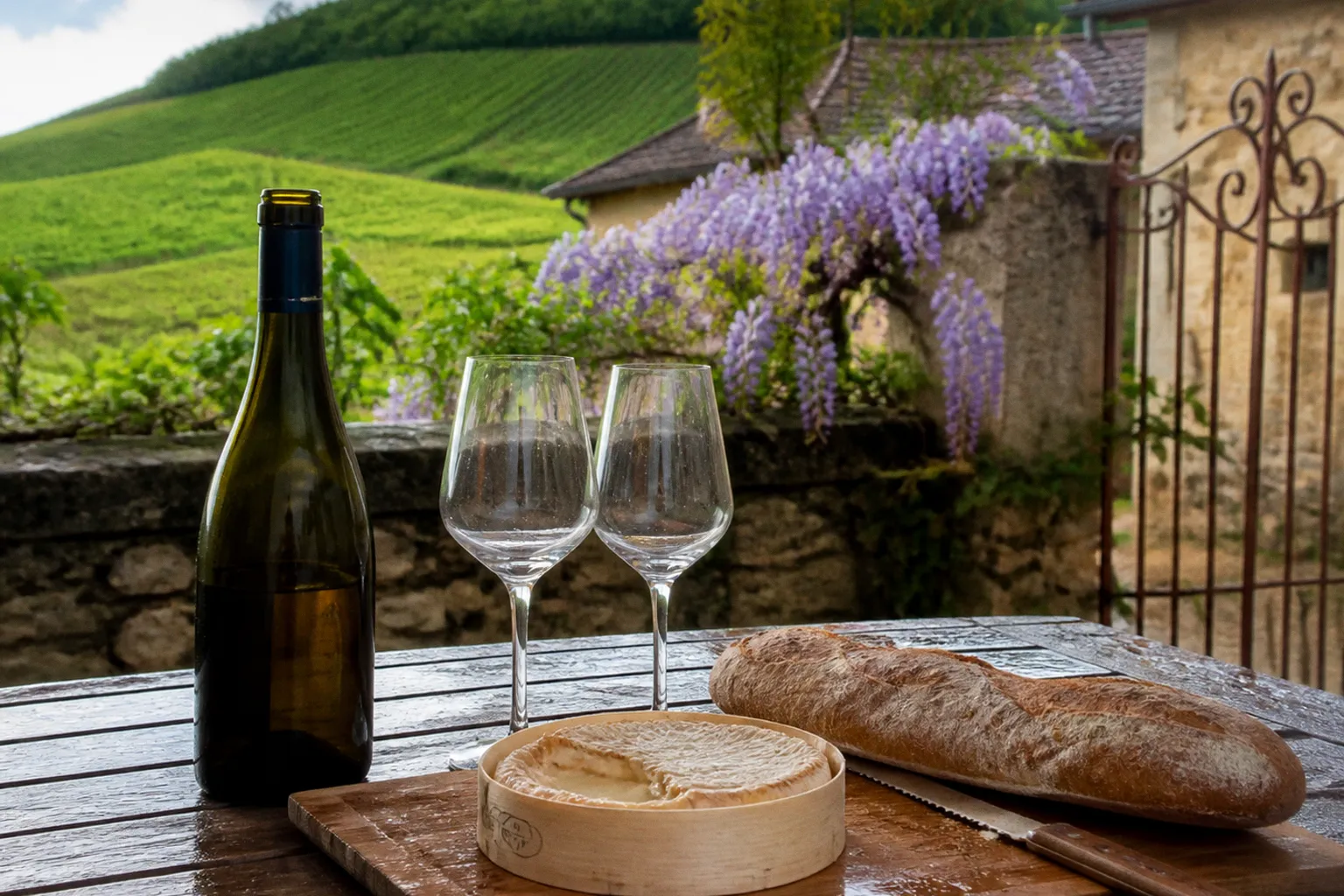 Dégustation de vin au gîte : plan pour un atelier réussi