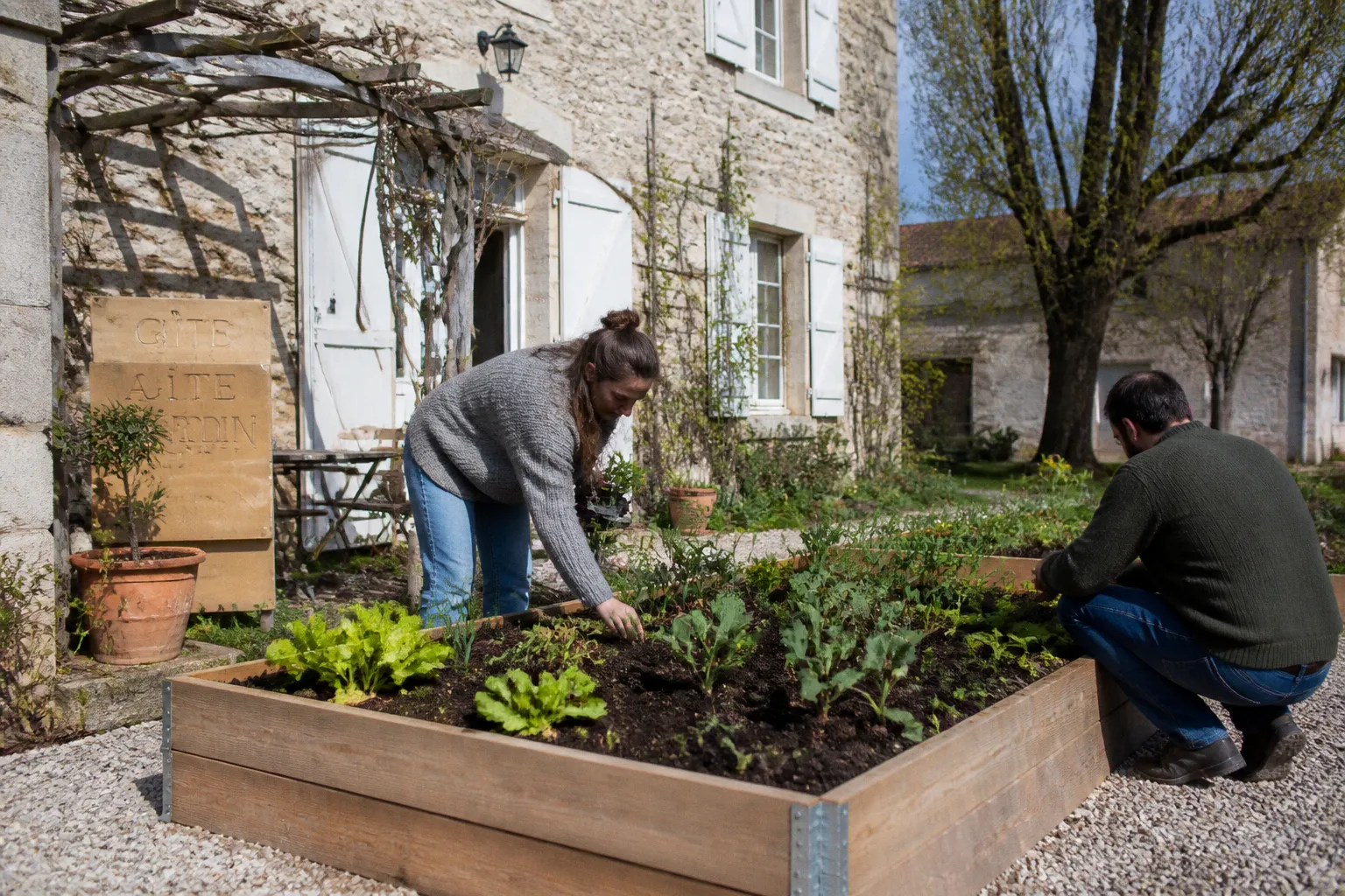 Potager partagé en gîte : plan d'installation