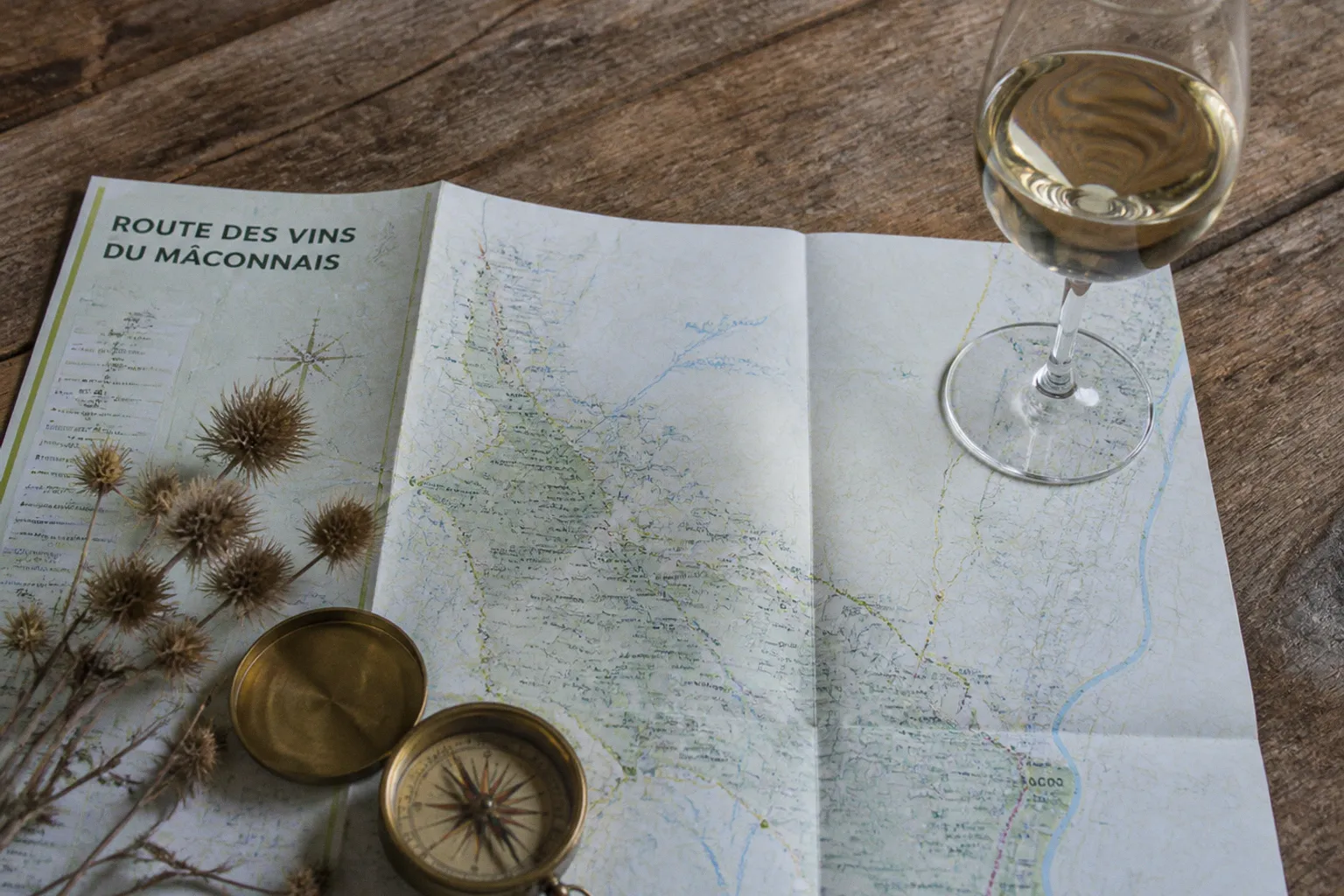 Route des vins Mâconnais : quel circuit selon votre profil ?