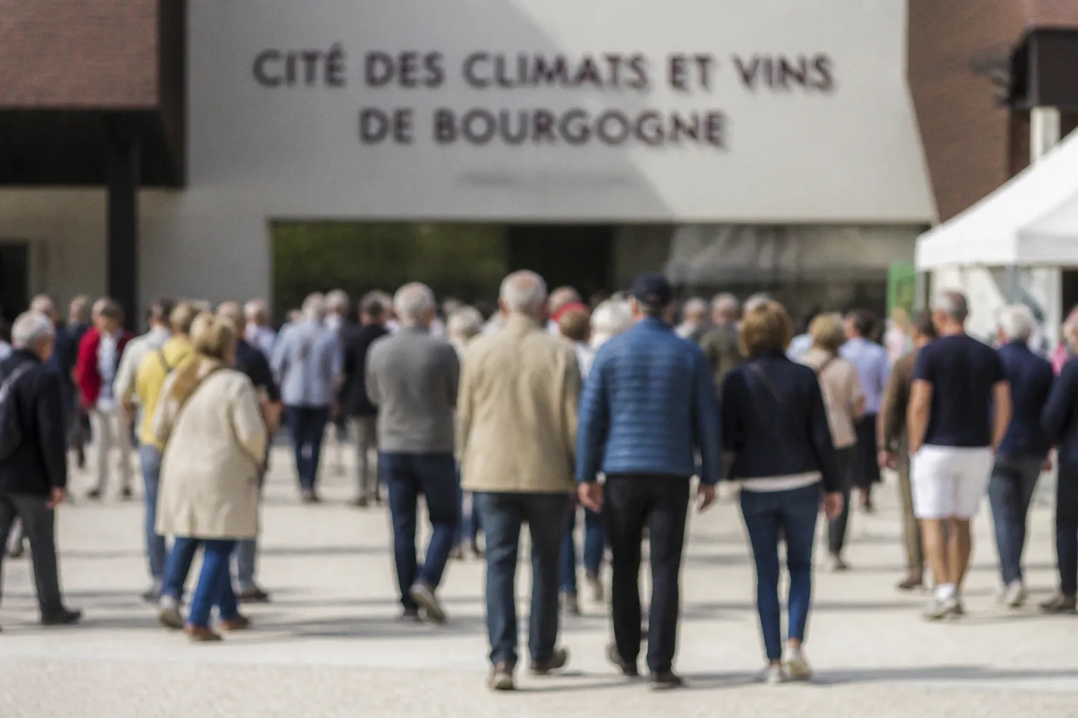 Valorisez votre gîte en Bourgogne grâce aux expositions culturelles de 2026